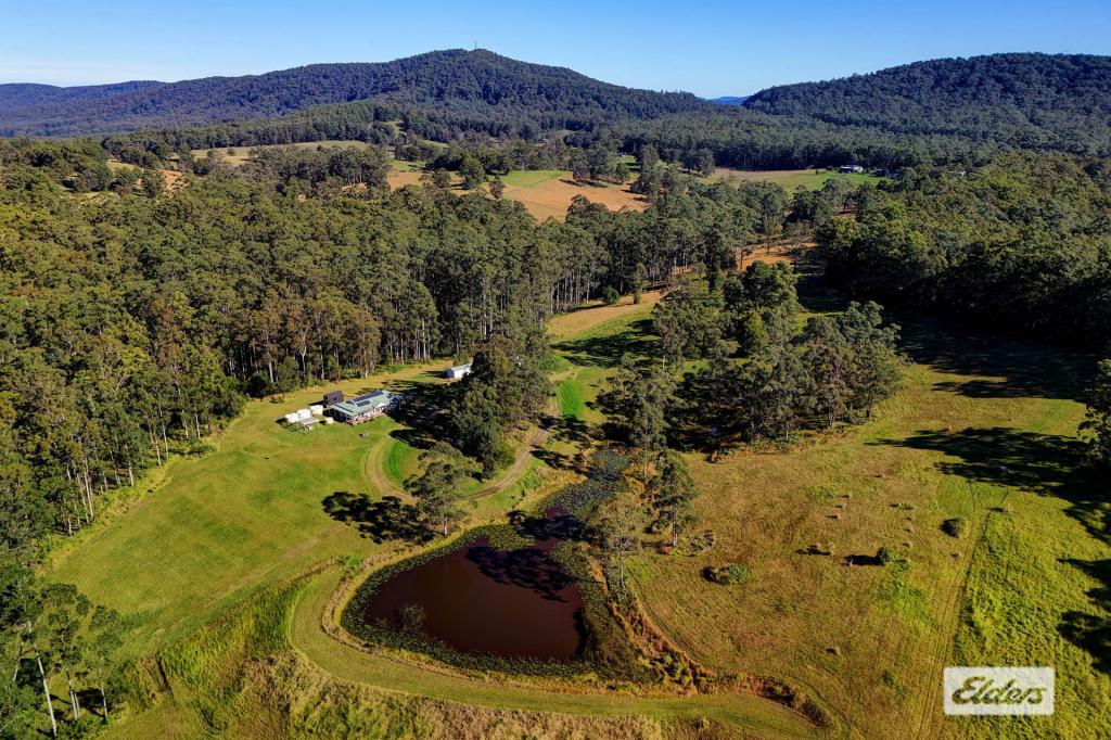 811 Newmans Rd, Topi Topi, NSW 2423