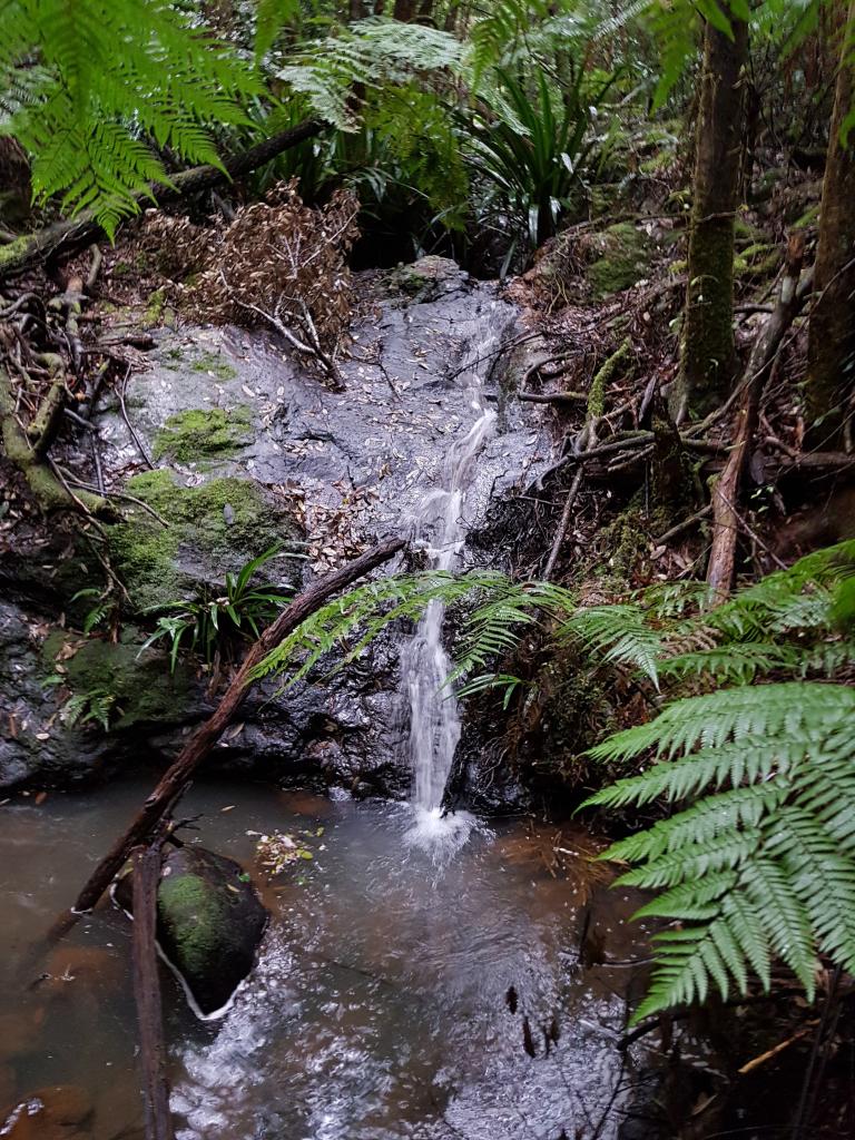 162 Repeater Station, Springbrook, QLD 4213