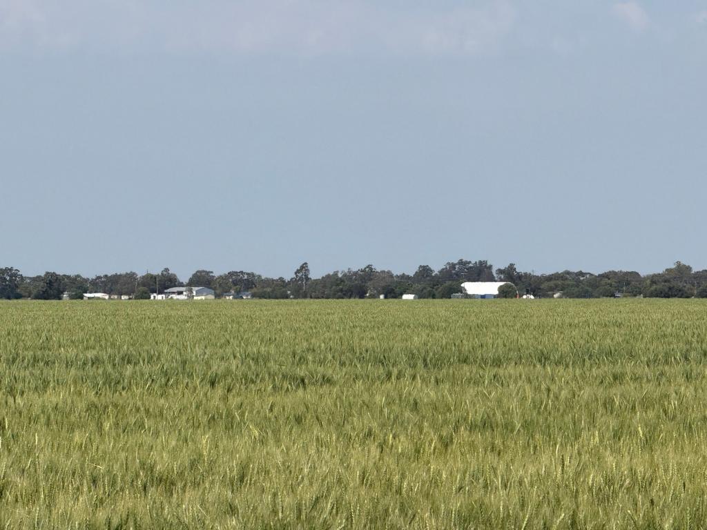 "Sandy Camp" Rosedale Rd, Ashley, NSW 2400