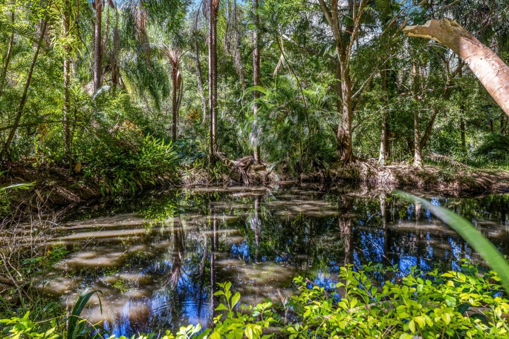 224 King Rd, Mooloolah Valley, QLD 4553
