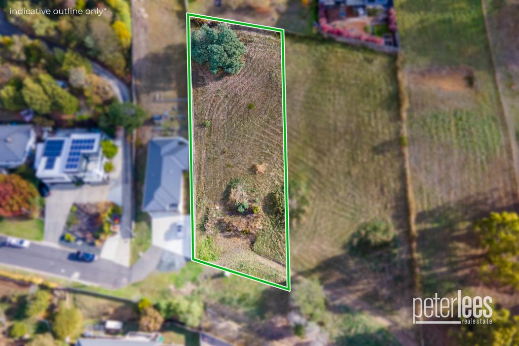 78 Junction St, Newstead, TAS 7250