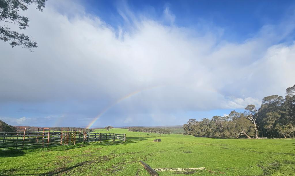 250 COLLIS RD, HAZELVALE, WA 6333