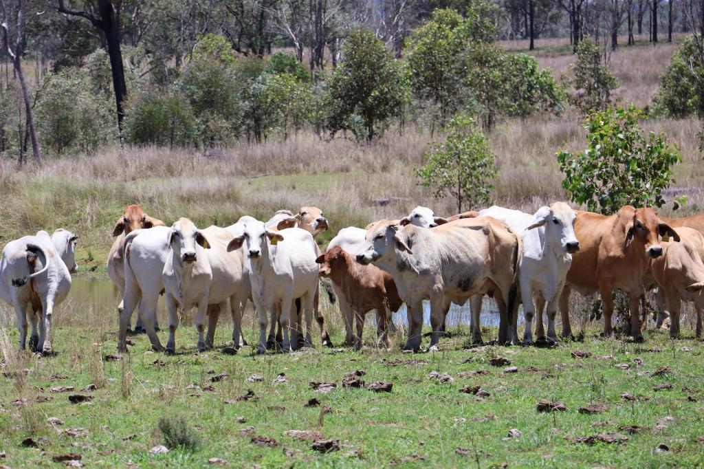 LOT 33, 34 & 35 BILBOOLAN ROAD, MUNGY, MOUNT PERRY, QLD 4671