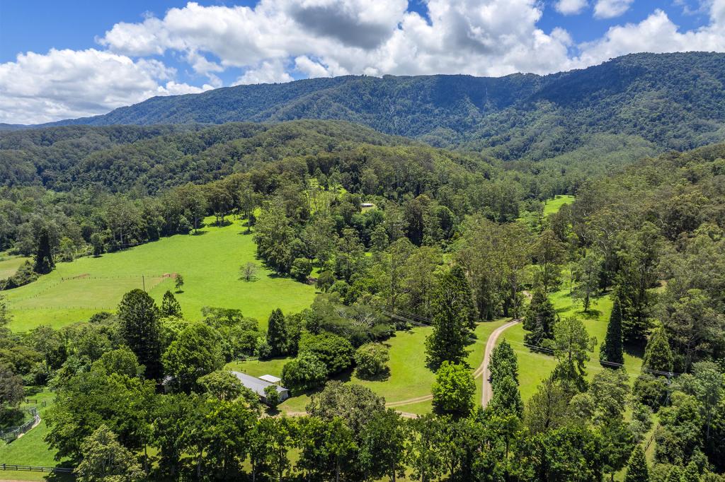 650 Darkwood Rd, Thora, NSW 2454