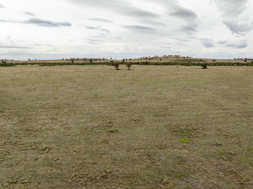 Contact Agent For Address, Narrandera, NSW 2700