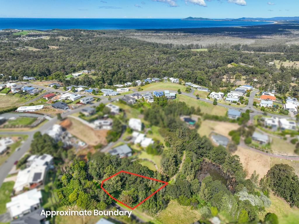 13 Lorikeet Way, Tallwoods Village, NSW 2430