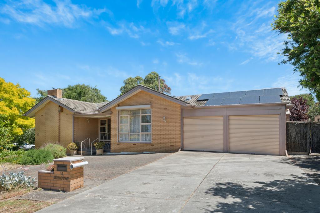 16 Ridgway Dr, Flagstaff Hill, SA 5159