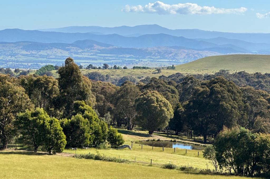 696 Glenroy Rd, Merrijig, VIC 3723