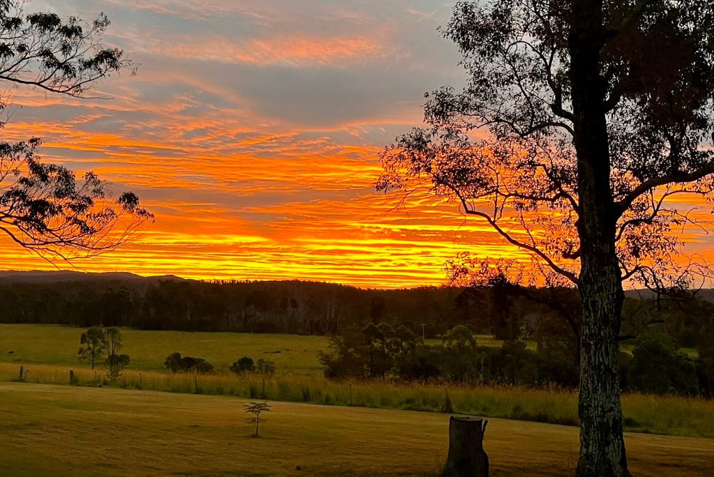 2392 Old Tenterfield Road Via, Wyan, NSW 2469