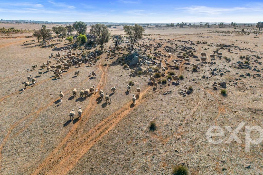 Lot 91 Oak Gr, Rockleigh, SA 5254