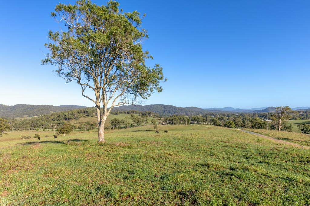 2898 The Bucketts Way, Stroud, NSW 2425