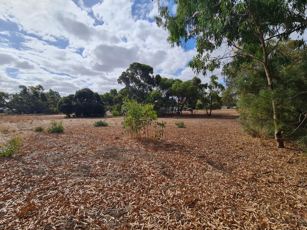 59 Sixth Ave, Kendenup, WA 6323