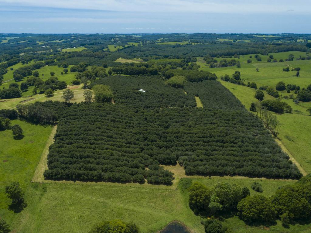 148 Humpty Back Rd, Mcleans Ridges, NSW 2480