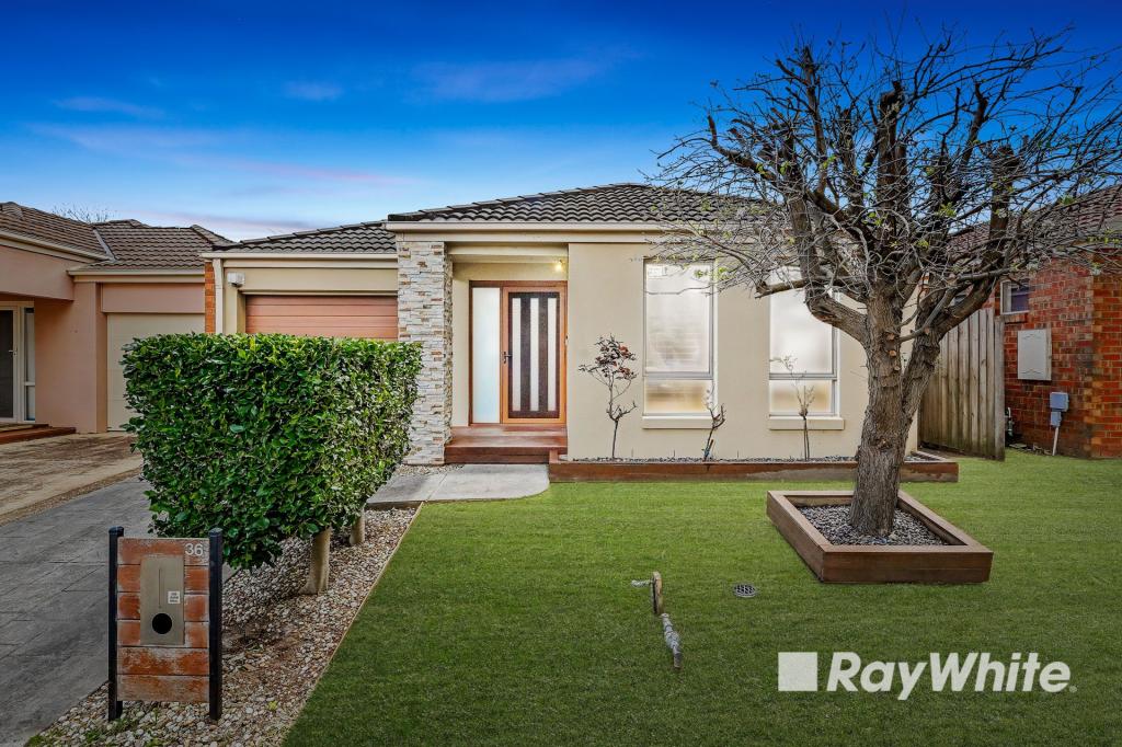 36 STEFAN DR, BERWICK, VIC 3806