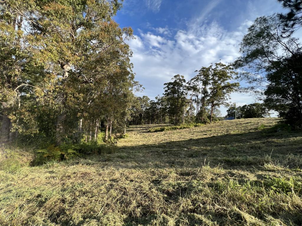 Lot 20/475 Verrierdale Rd, Verrierdale, QLD 4562