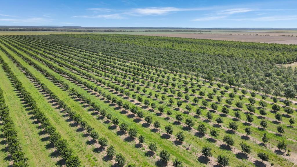 Contact Agent For Address, Alloway, QLD 4670