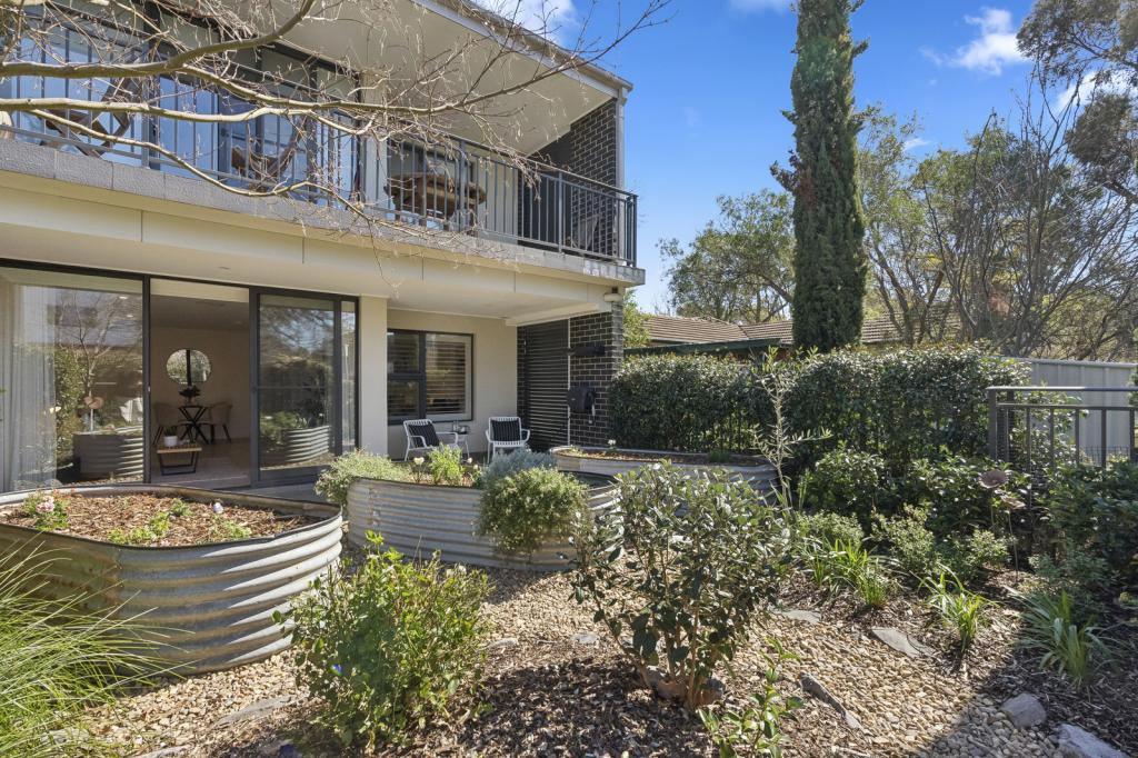 1/3 HAY ST, O'CONNOR, ACT 2602