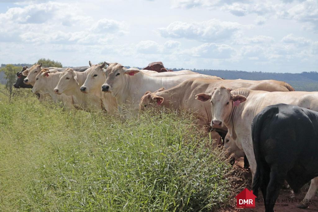 205 Dempsters Rd, Binjour, QLD 4625