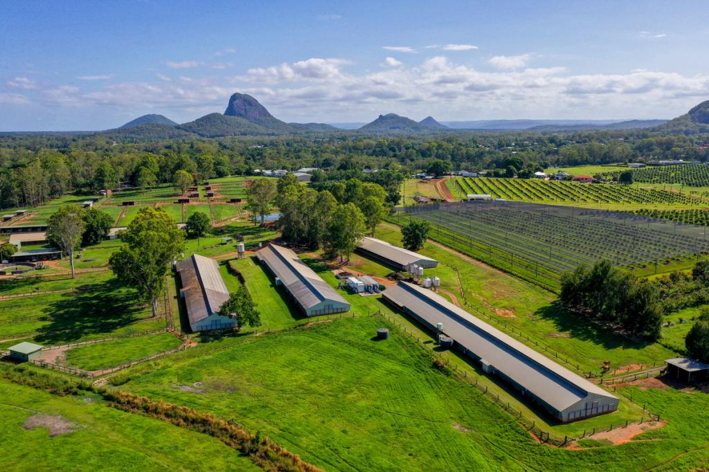 1047 Steve Irwin Way, Glass House Mountains, QLD 4518