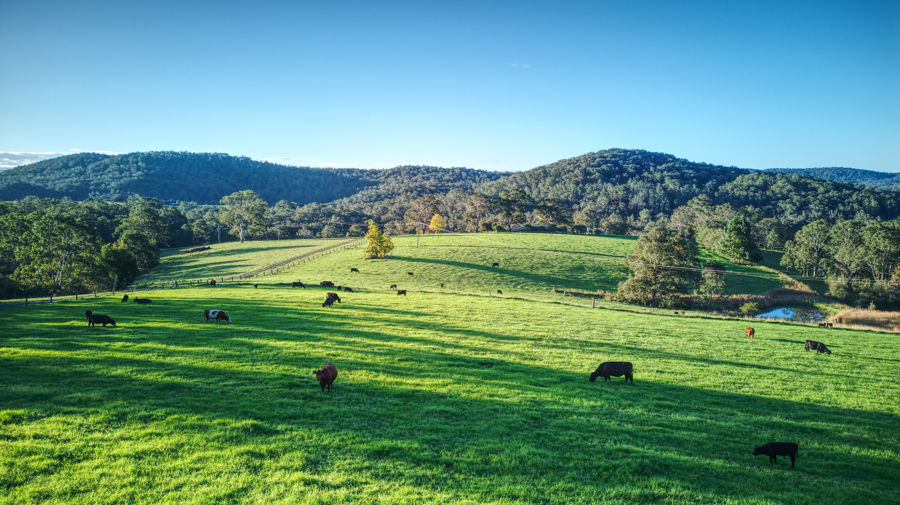 Contact Agent For Address, Dorrigo, NSW 2453