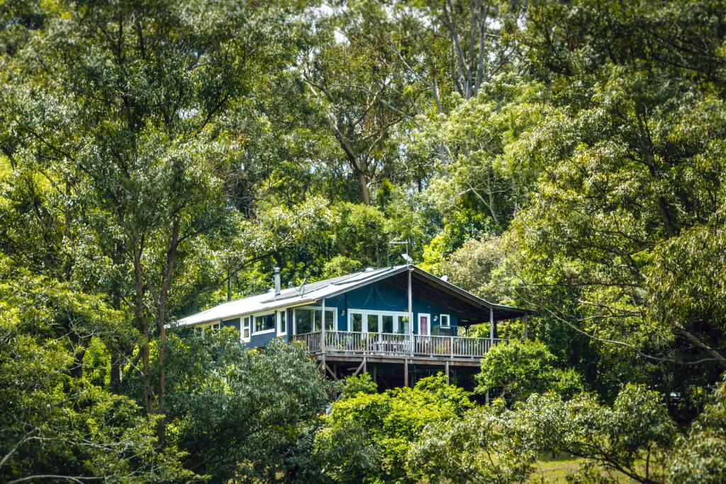 52 Sunny Corner Rd, Bellingen, NSW 2454