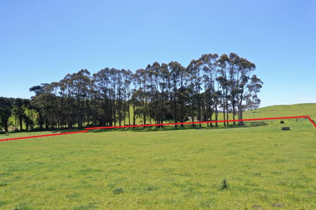 31 Johns Hill Rd, Irishtown, TAS 7330