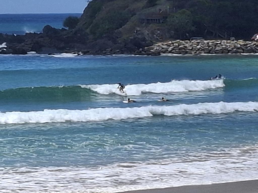 1 Oleander Dr, Scotts Head, NSW 2447