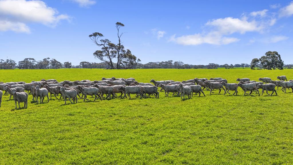 378 Jones Rd, Yumali, SA 5261