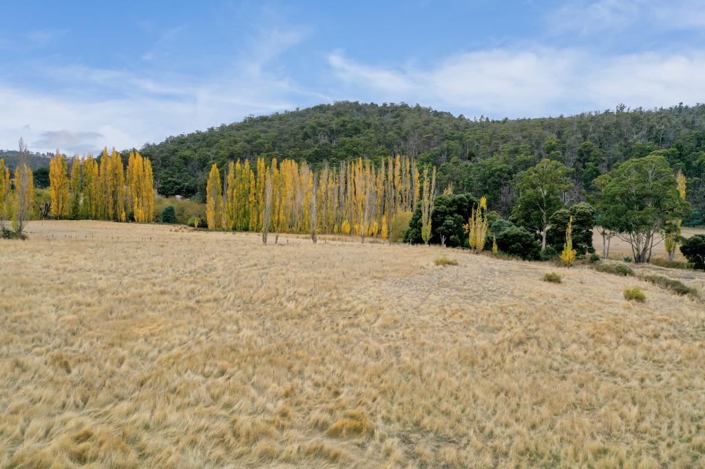 Lot 1 Ellendale Rd, Fentonbury, TAS 7140