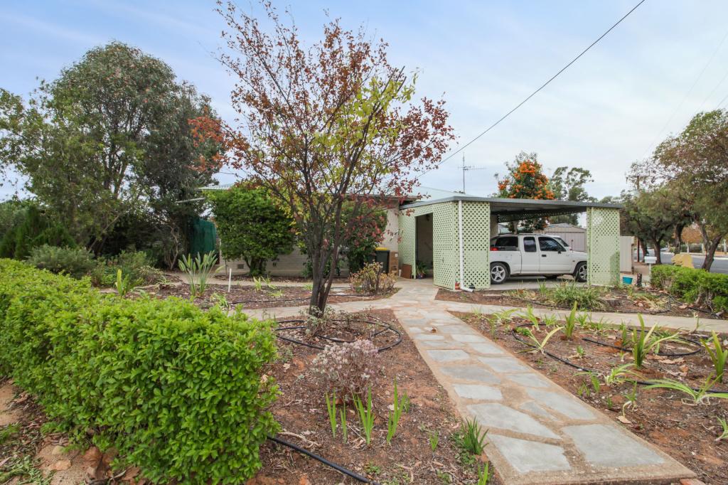 29 Scott Ave, Barmera, SA 5345