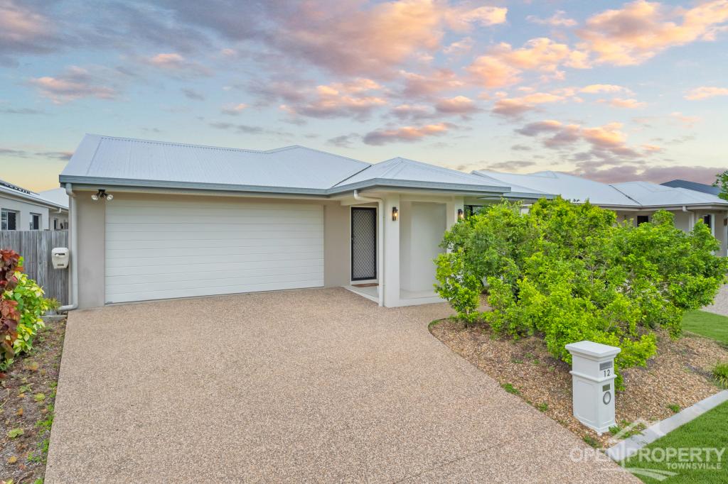 12 Cordyline Cct, Bohle Plains, QLD 4817