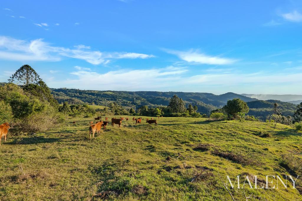 Lot 2 Maleny Kenilworth Rd, Witta, QLD 4552