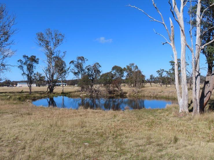 Lot 2 Hopgood Lane, Glen Niven, QLD 4377