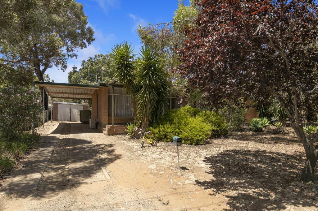 19 Theodore St, Evanston Park, SA 5116