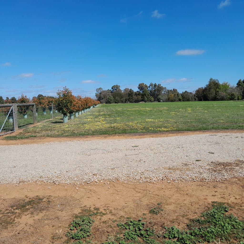 Lot 1 - 3313 Barooga-Tocumwal Rd, Barooga, NSW 3644