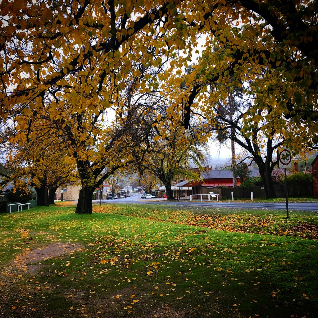 30 Lowther St, Maldon, VIC 3463