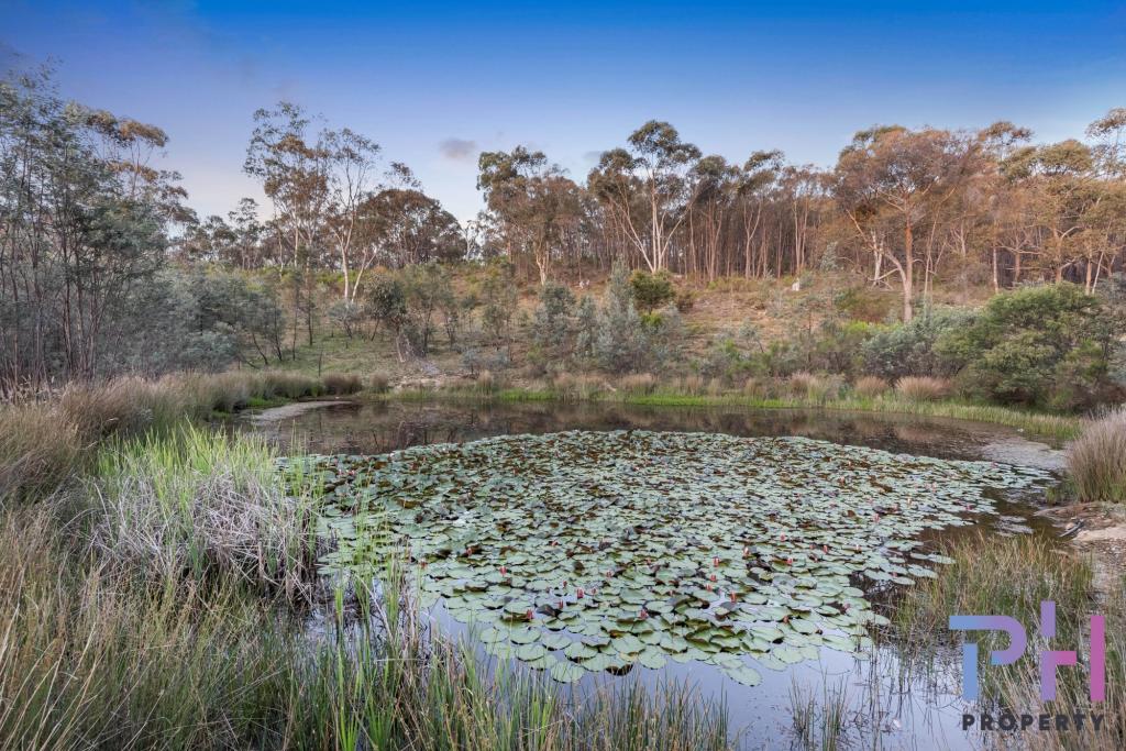 1271 Axe Creek Rd, Sedgwick, VIC 3551