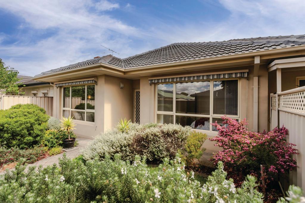 55 Stopford Rd, Hove, SA 5048