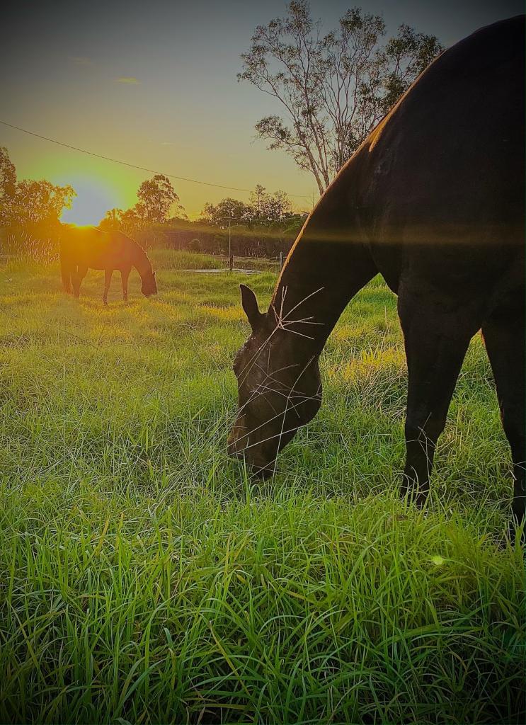 32 Tableland Rd, Sunshine Acres, QLD 4655