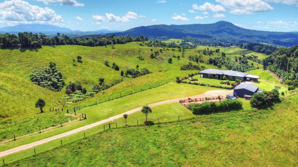 1288 Beatrice Way, Millaa Millaa, QLD 4886