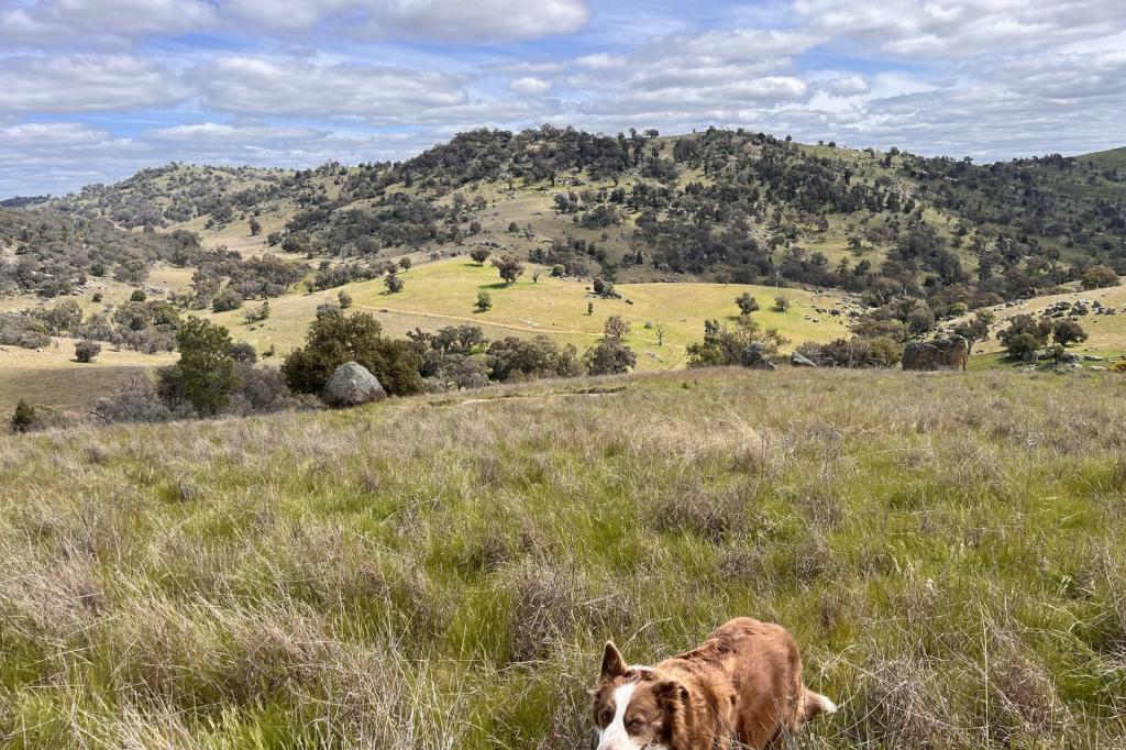 Lot 3 Tarrants Gap Rd, Wyangala, NSW 2808