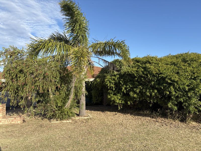 18 Hyland Cres, Clarkson, WA 6030