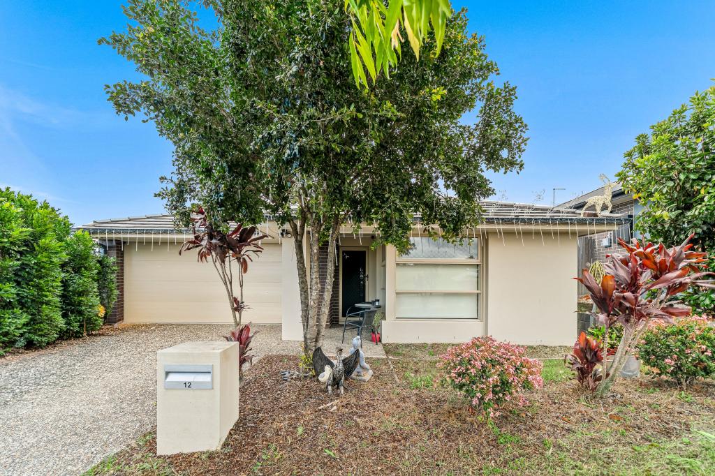 12 Cocoparra St, South Ripley, QLD 4306