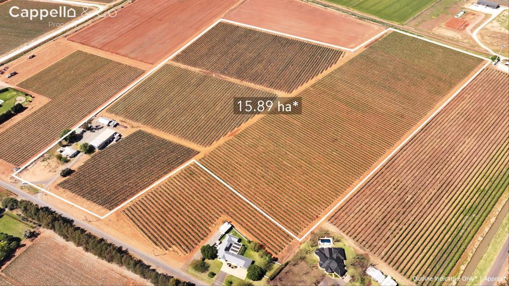 391 Rossetto Rd, Bilbul, NSW 2680