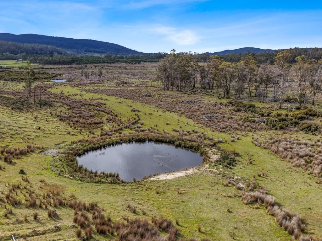 Lot 6/524 Rosedale Rd, Bicheno, TAS 7215