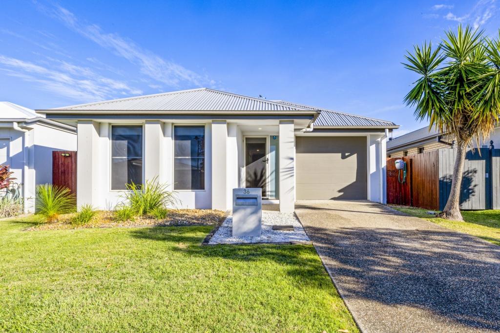 36 Flame Tree Ave, Sippy Downs, QLD 4556