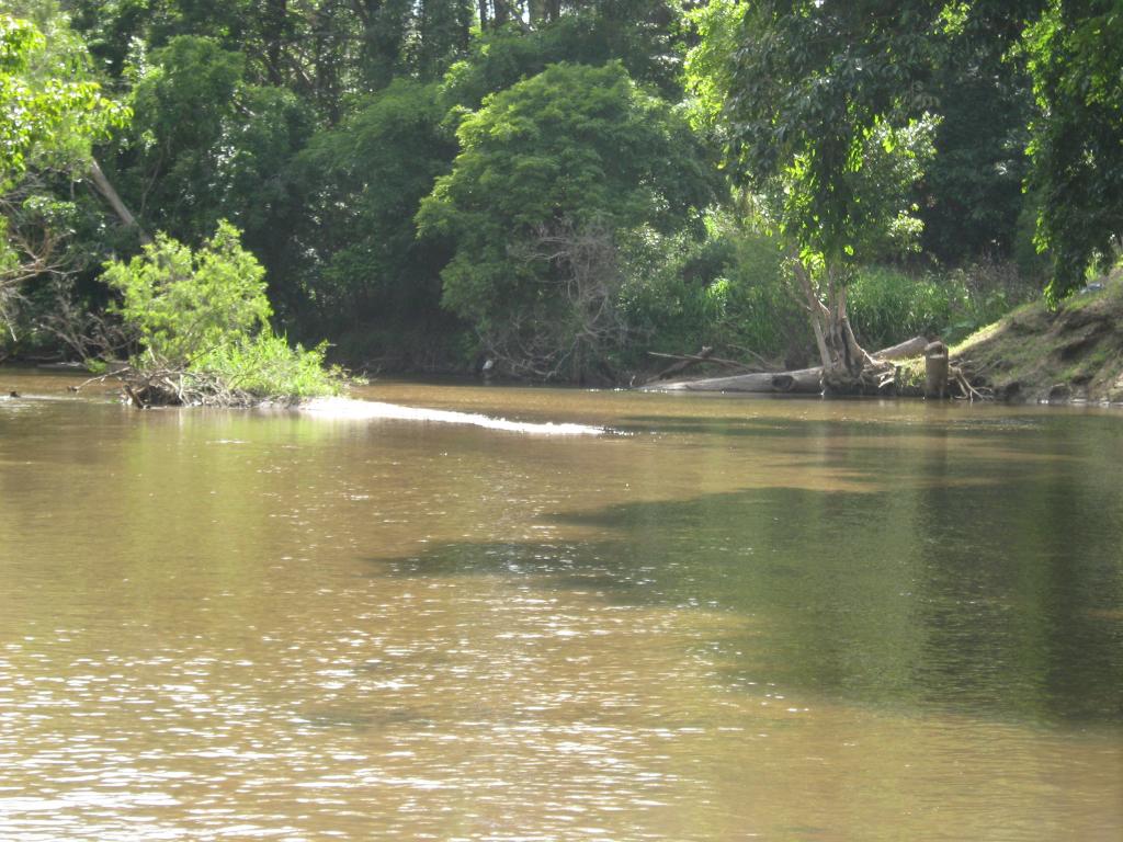 158 Hodzic Rd, Biboohra, QLD 4880