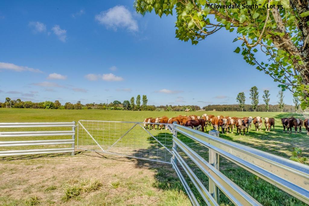 154 SCABBEN FLAT RD, TARALGA, NSW 2580