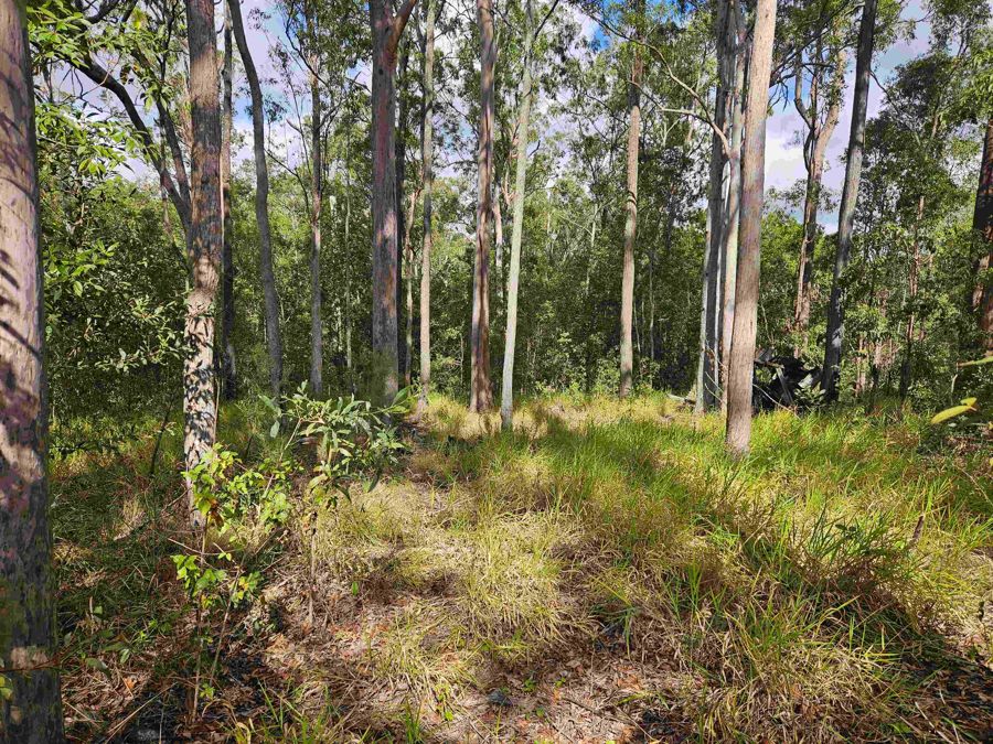 Lot 674 Arbor Twenty-Seven, Glenwood, QLD 4570