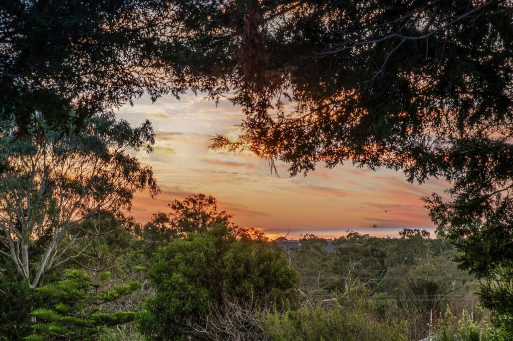 5 Kooluna Ct, Frankston, VIC 3199